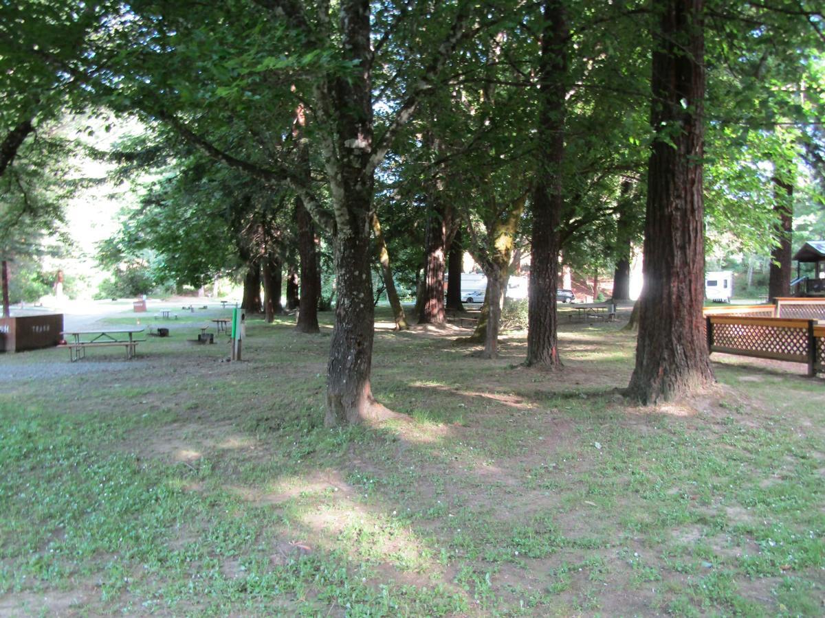 Dean Creek Resort Redway Екстер'єр фото